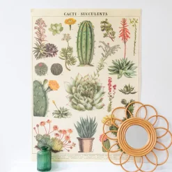 Affiche vintage cactus