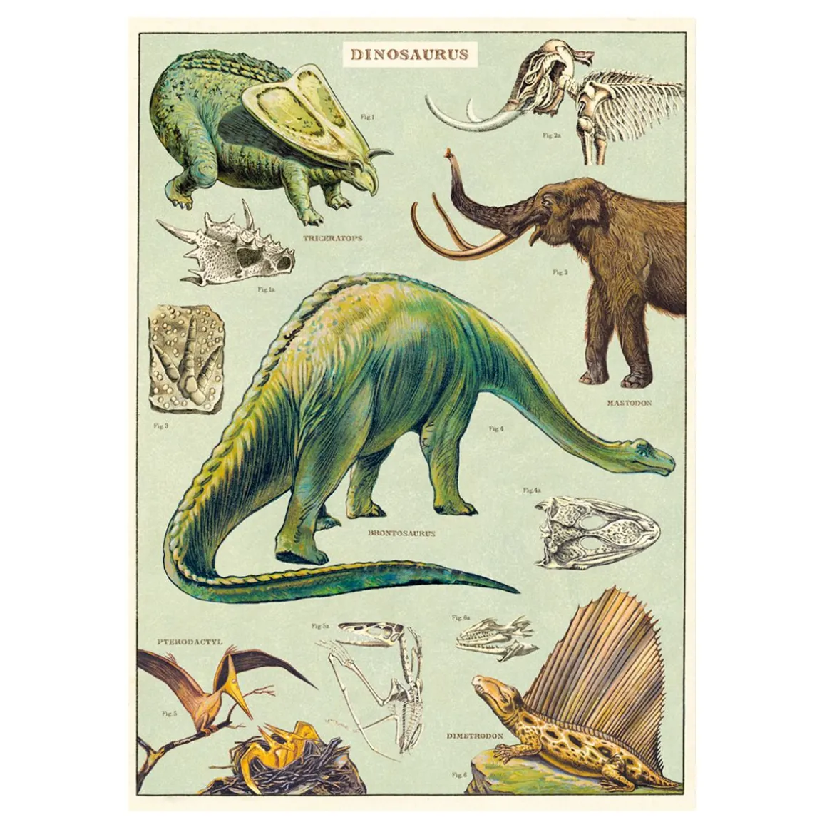 Affiche vintage dinosaures