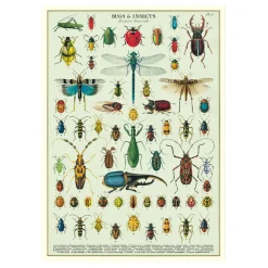 Affiche vintage insectes