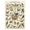 Affiche vintage "Nos bons petits oiseaux"