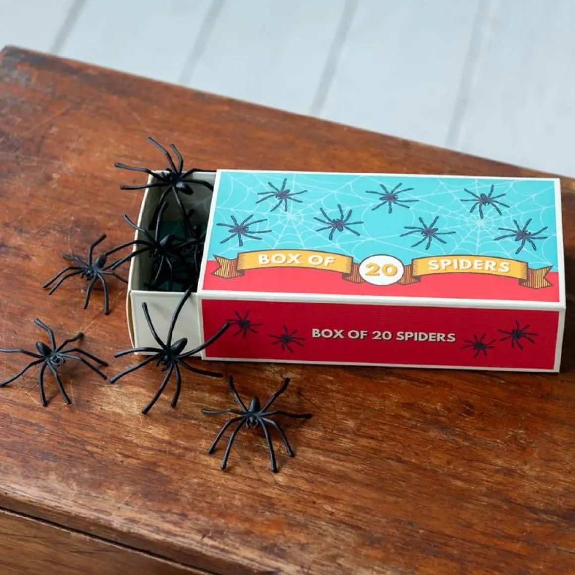 Boite de 20 araignées