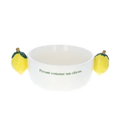Bol avec anses citrons