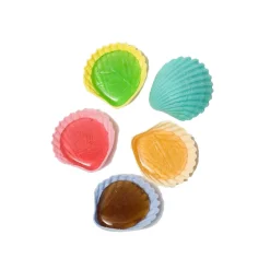 Bonbon coquillage roudoudou