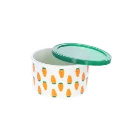 Boîte de conservation avec couvercle carottes