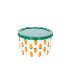 Boîte de conservation avec couvercle carottes