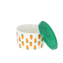 Boîte de conservation avec couvercle carottes