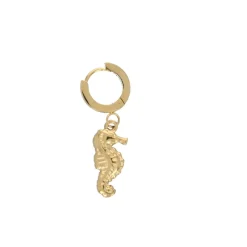 Boucles d'oreilles mini créoles hippocampe