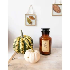Bougie apothicaire fleur d'oranger