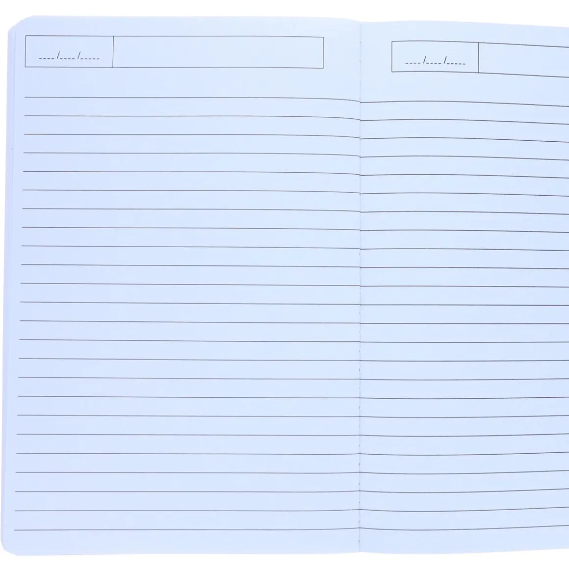 Cahier motifs dinosaures