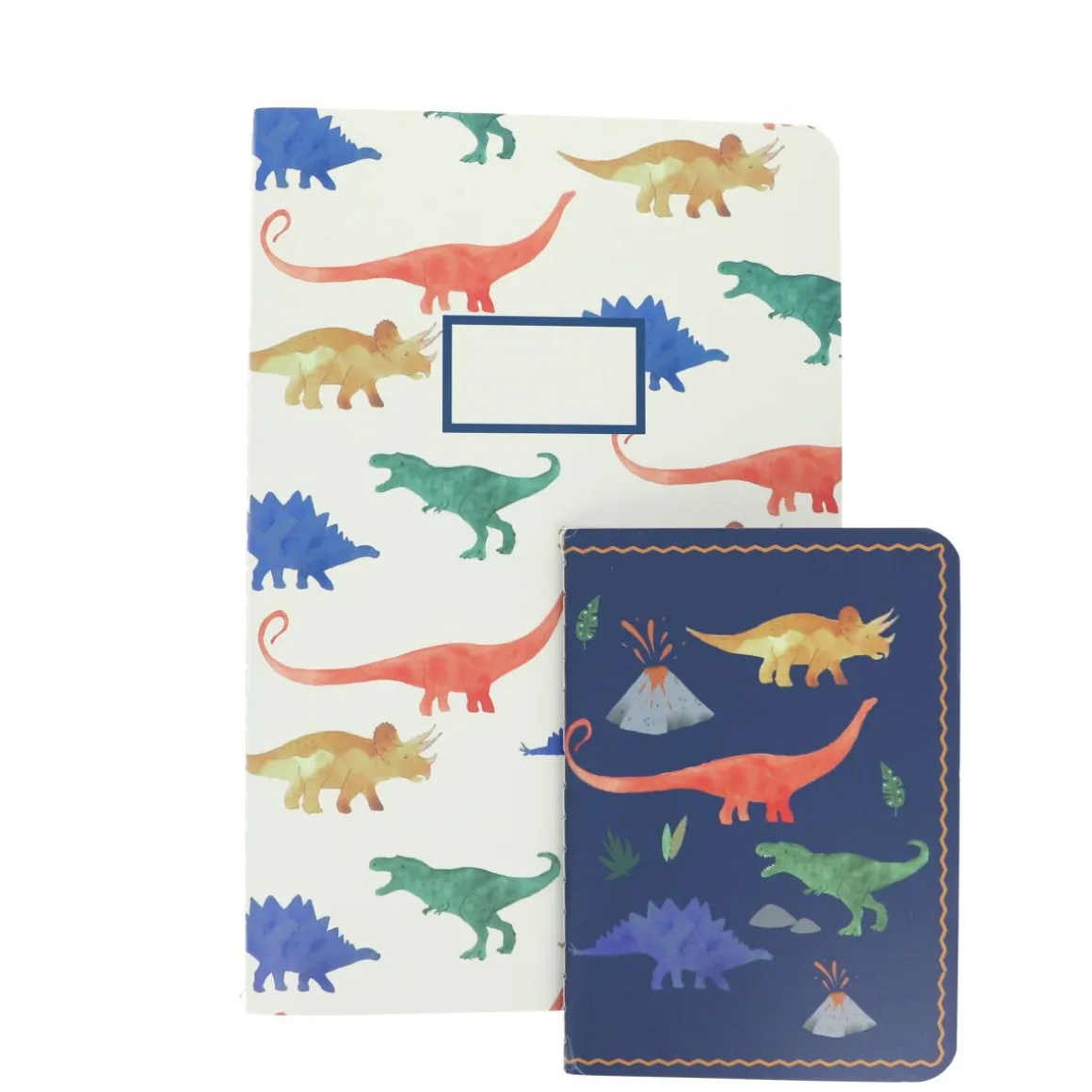 Cahier motifs dinosaures