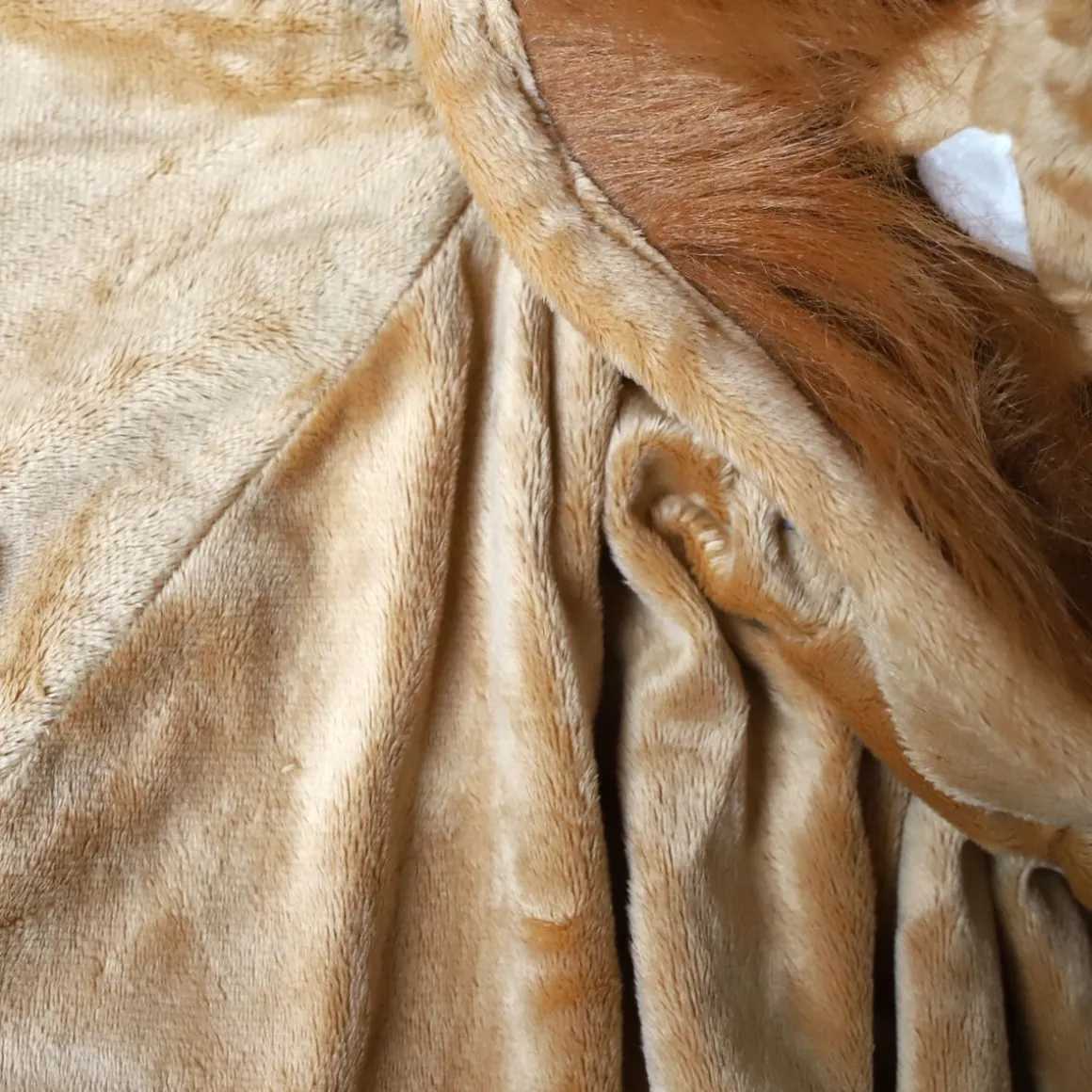 Cape déguisement enfant Lion