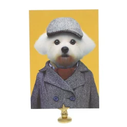 Carte bichon maltais