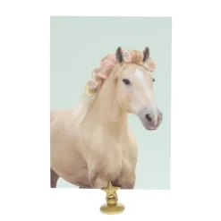 Carte cheval et bigoudis