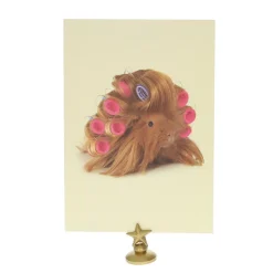 Carte cochon d'Inde bigoudis