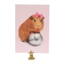 Carte cochon d'Inde boule à facette