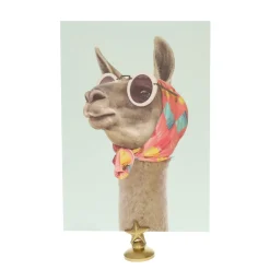 Carte lama fashion