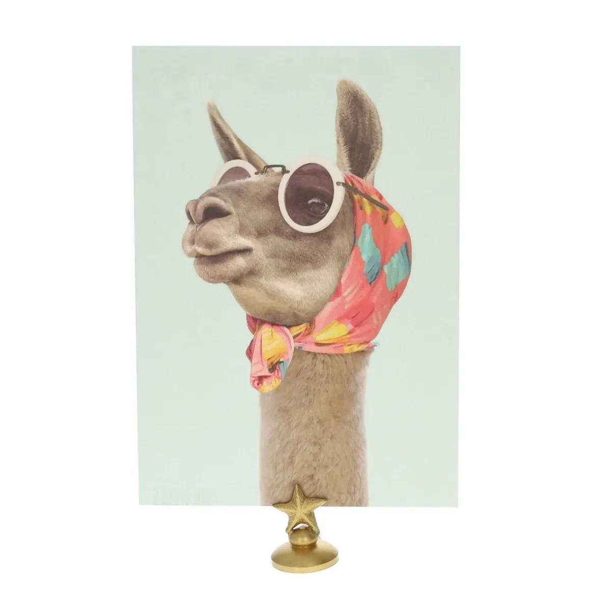 Carte lama fashion