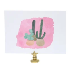 Carte Maroc cactus