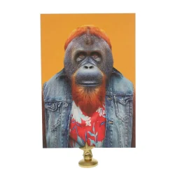 Carte singe orang-outan