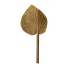 Feuille de palme naturelle 15-20 cm