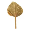 Feuille de palme naturelle 25-30 cm