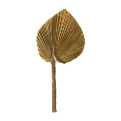 Feuille de palme naturelle 15-20 cm