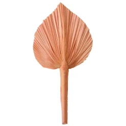 Feuille de palme rose 20-25 cm