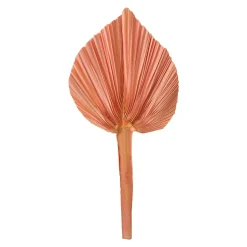 Feuille de palme rose 20-25 cm