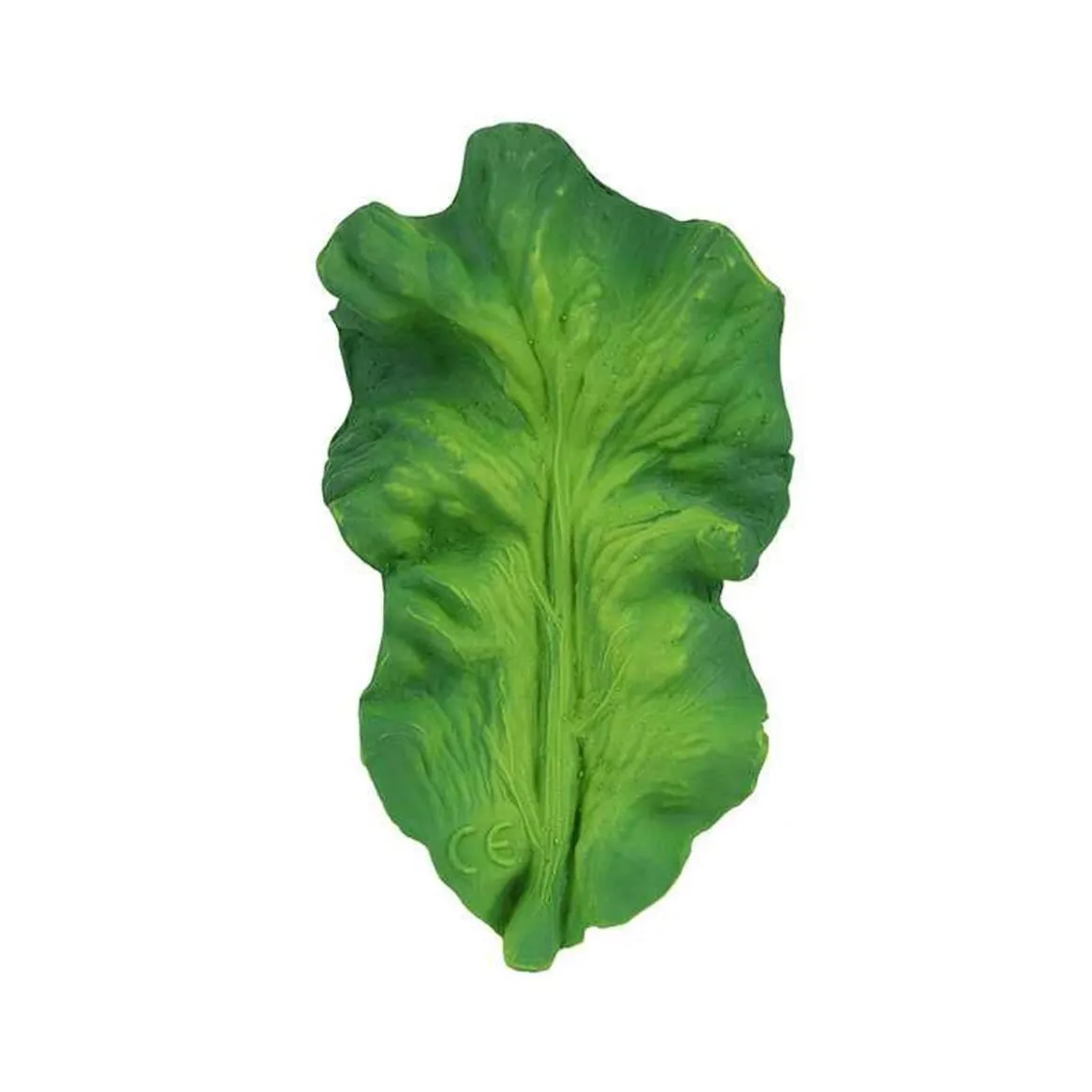 Feuille de salade de dentition verte