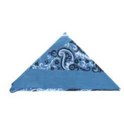 Foulard bandana bleu - Petit format