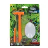 Kit fossile de dinosaure