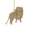 Lion laiton