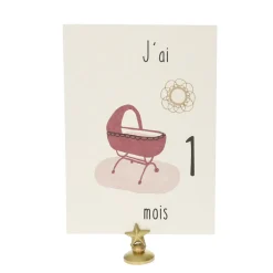 Lot de 12 cartes Ma première année de bébé