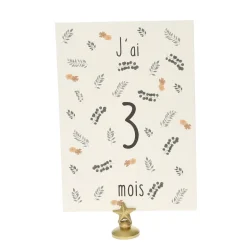 Lot de 12 cartes Ma première année de bébé