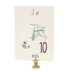 Lot de 12 cartes Ma première année de bébé