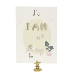 Lot de 12 cartes Ma première année de bébé