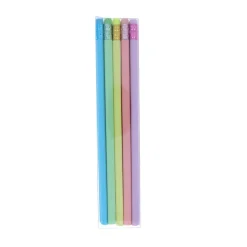 Lot de 10 crayons à papier pastel