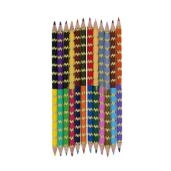 Lot de 12 crayons double face "Life On Earth"