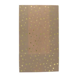 Lot de 12 sachets pochettes kraft étoiles