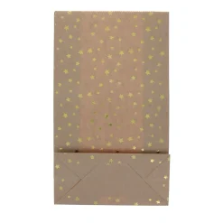 Lot de 12 sachets pochettes kraft étoiles