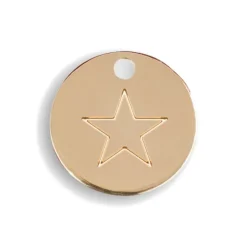Médaille étoile