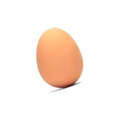 Oeuf rebondissant