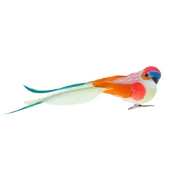 Oiseau à clipser corail multicolore