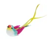 Oiseau à clipser fuchsia menthe