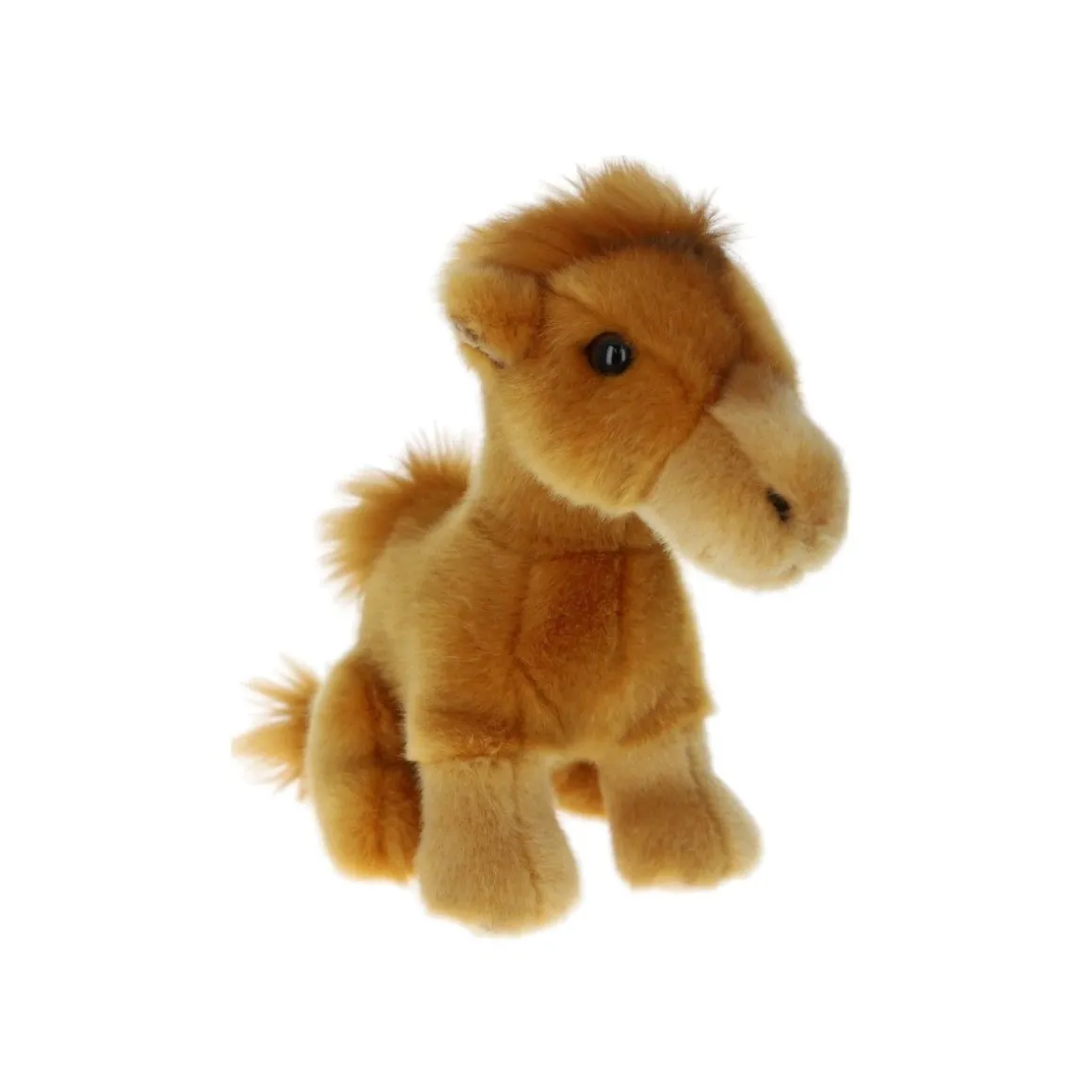 Peluche dromadaire - Sahara