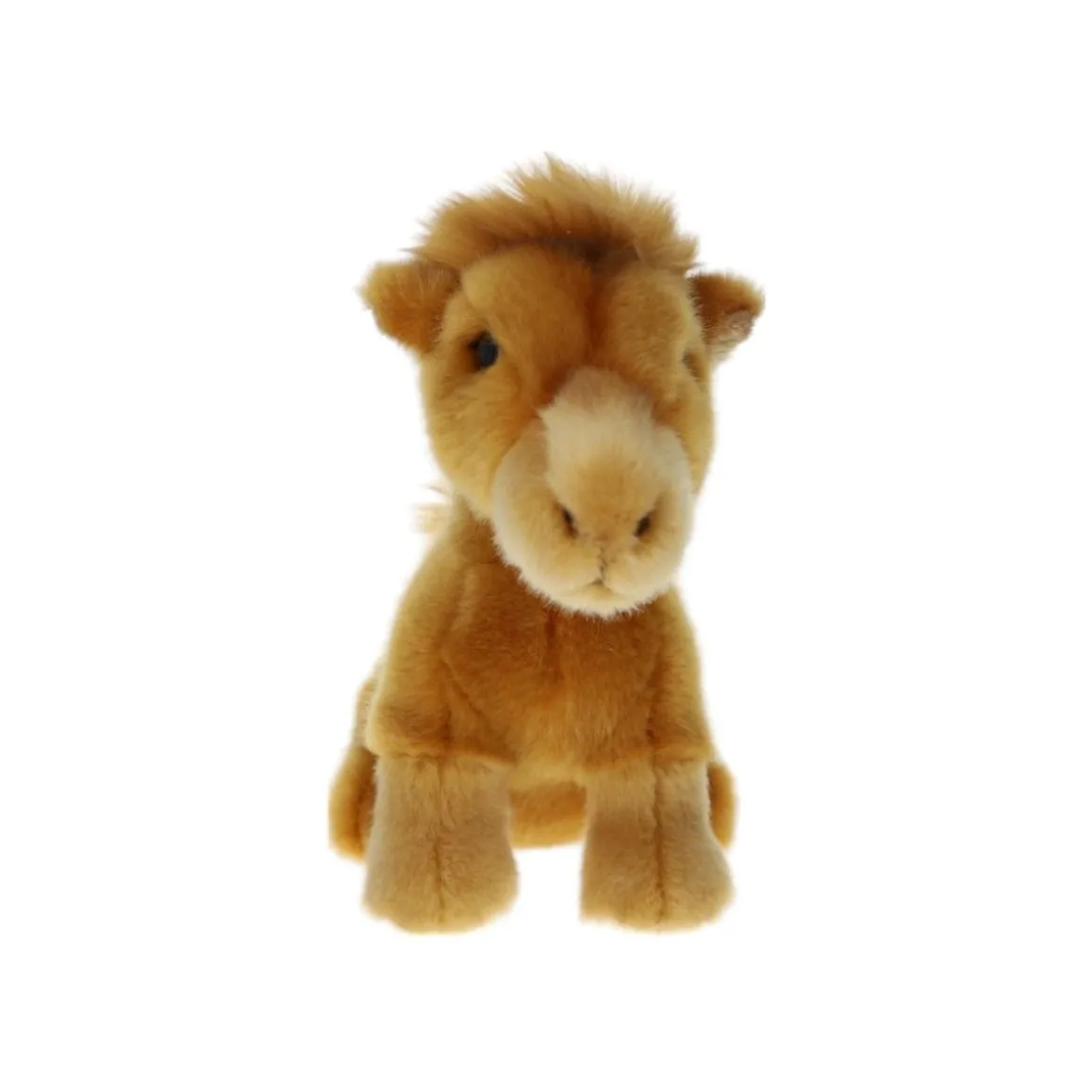 Peluche dromadaire - Sahara