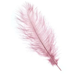 Plume d'autruche vieux rose