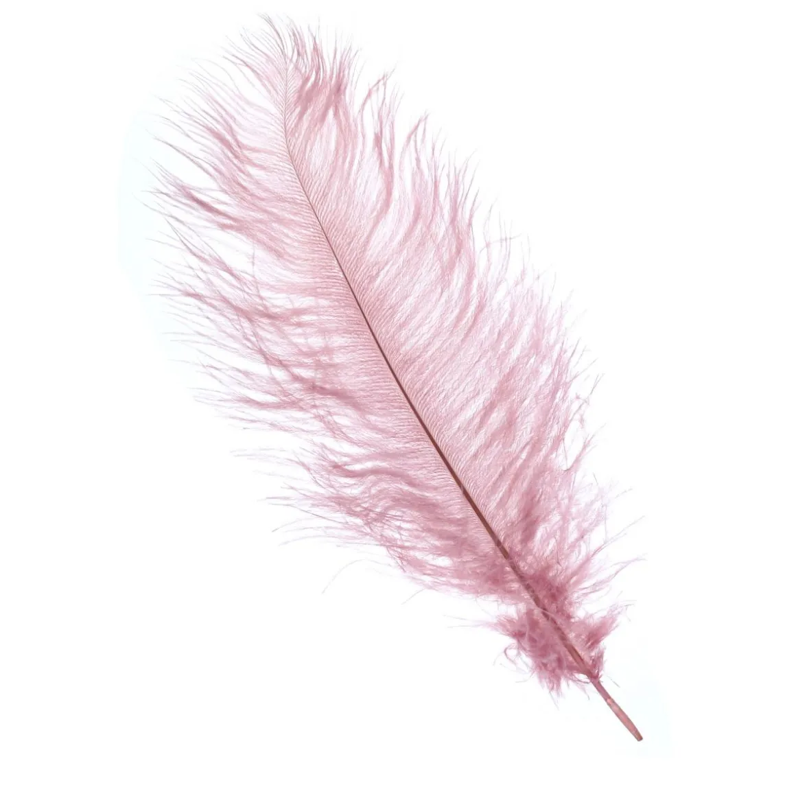Plume d'autruche vieux rose