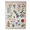 Poster en papier fleurs