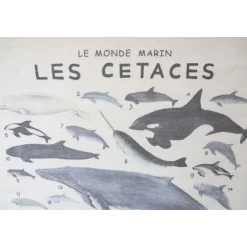 Poster en tissu 